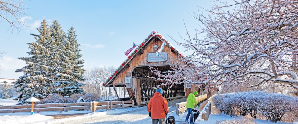 Frankenmuth showing snow, cuddly or friendly animals and a bridge