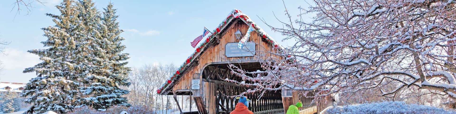 Frankenmuth showing snow, cuddly or friendly animals and a bridge