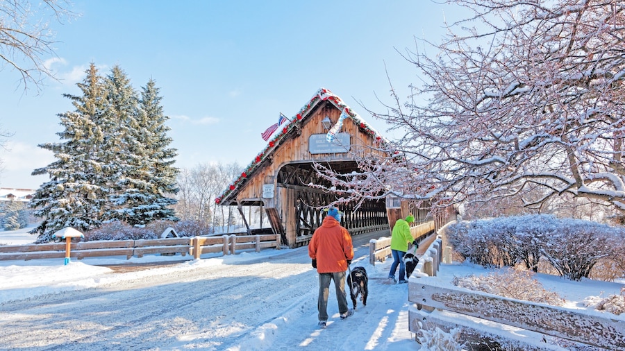 Frankenmuth showing snow, cuddly or friendly animals and a bridge