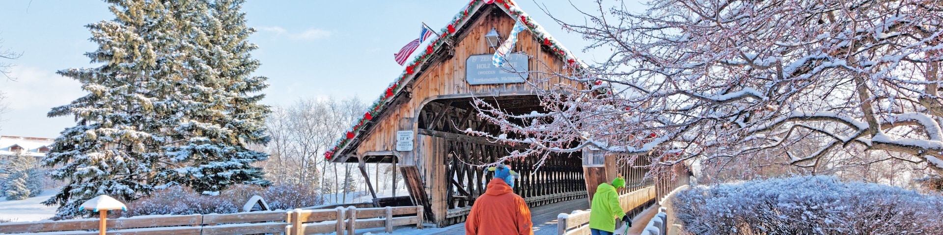 Frankenmuth showing snow, cuddly or friendly animals and a bridge