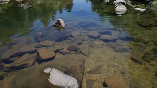 フレデリック タウン