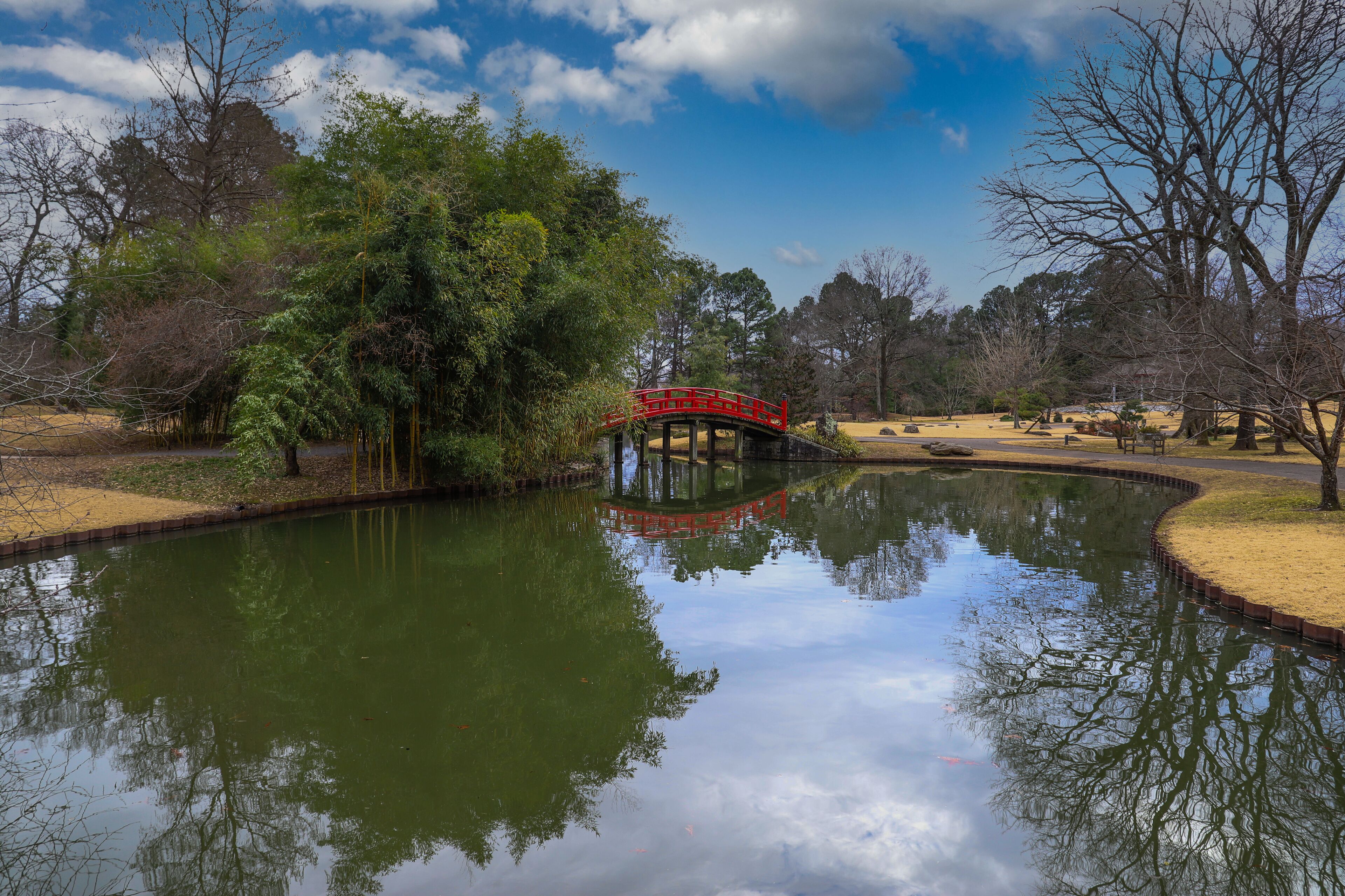 a shot of an arched red and black bridge over a lake surrounded lush green trees reflecting off the water with blue sky and powerful clouds at Memphis Botanic Garden in Memphis Tennessee USA