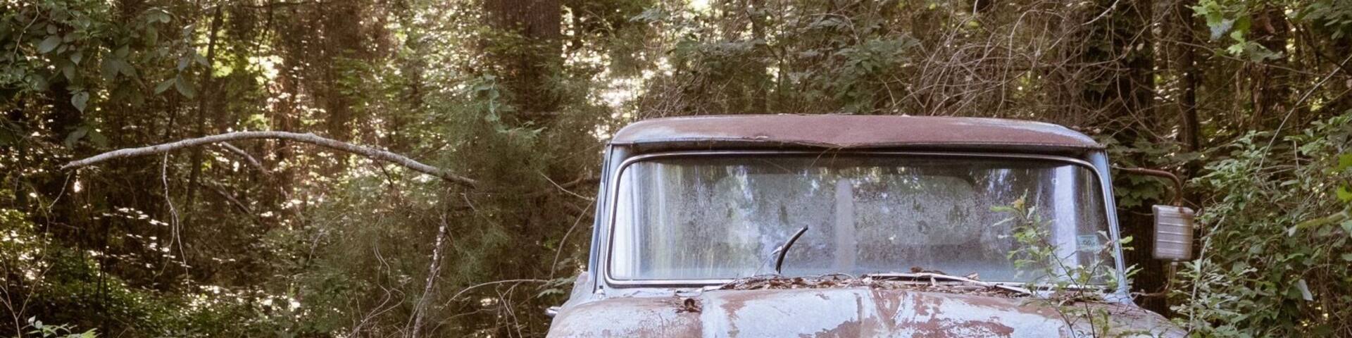 Texas beauty includes an endless assortment of classic vehicles in various states of decay. Nature always ultimately wins.