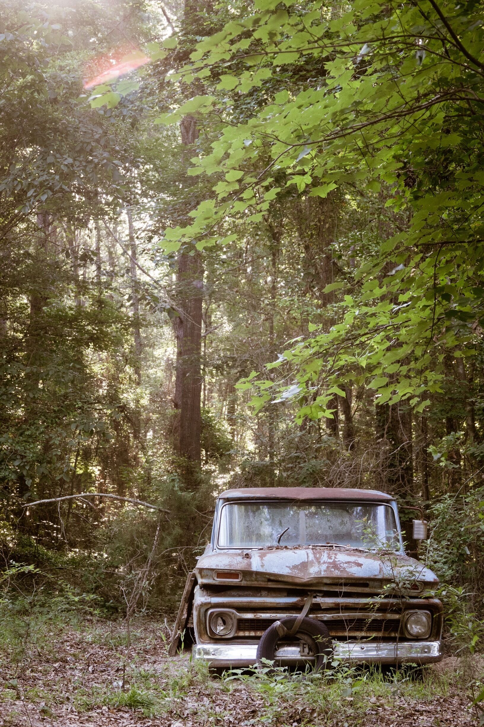 Texas beauty includes an endless assortment of classic vehicles in various states of decay.  Nature always ultimately wins.