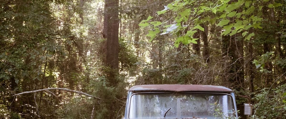 Texas beauty includes an endless assortment of classic vehicles in various states of decay. Nature always ultimately wins.