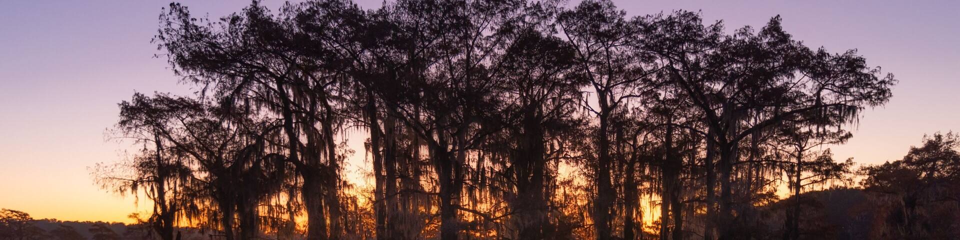 Sunrise at Swamp at Caddo Lake Texas
