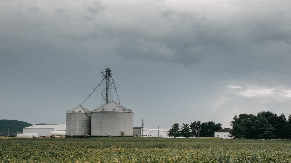 A grain silo farm with large silos and a white building in a field under a cloudy sky.