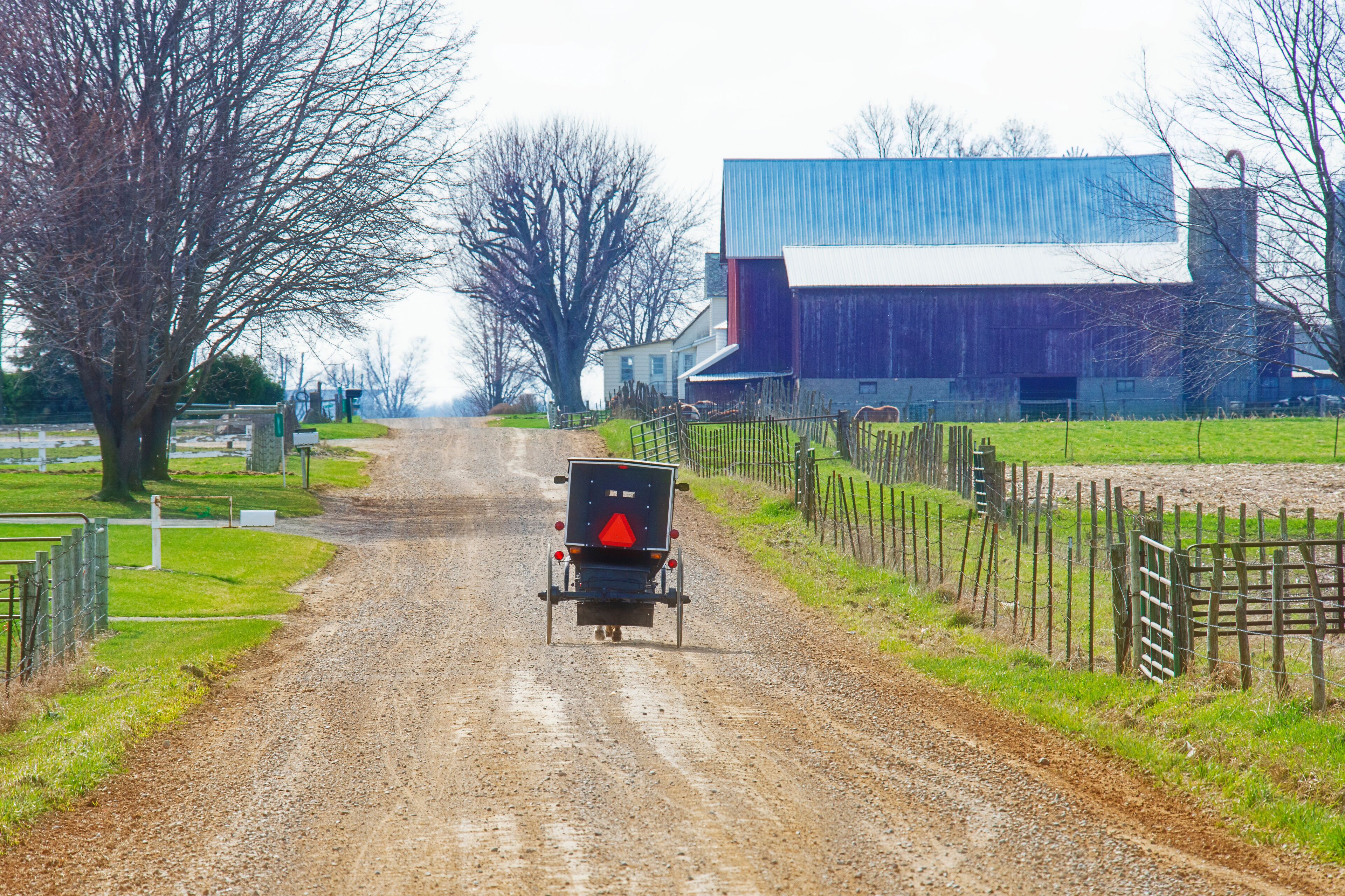 Amish Buggy on Rural Indiana, Gravel Road