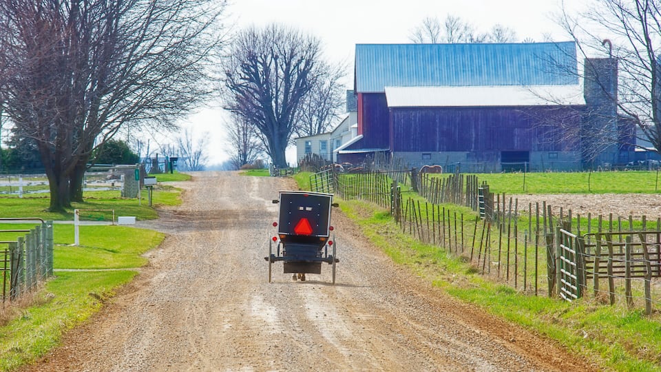 A rural road leading to a large barn with a blue roof.