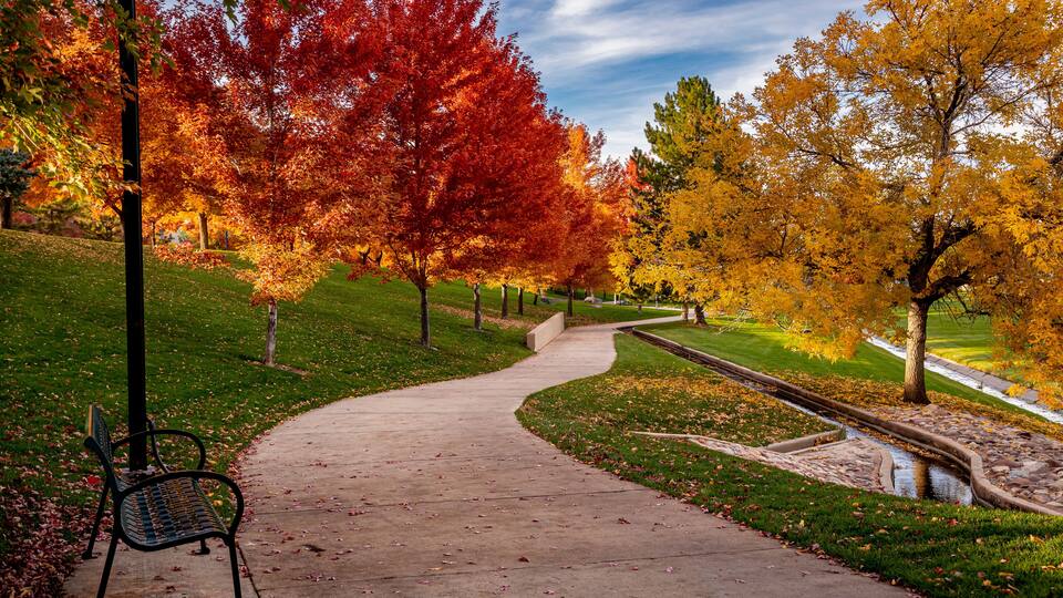 A park pathway with benches, trees in autumn colors, and a small water feature.