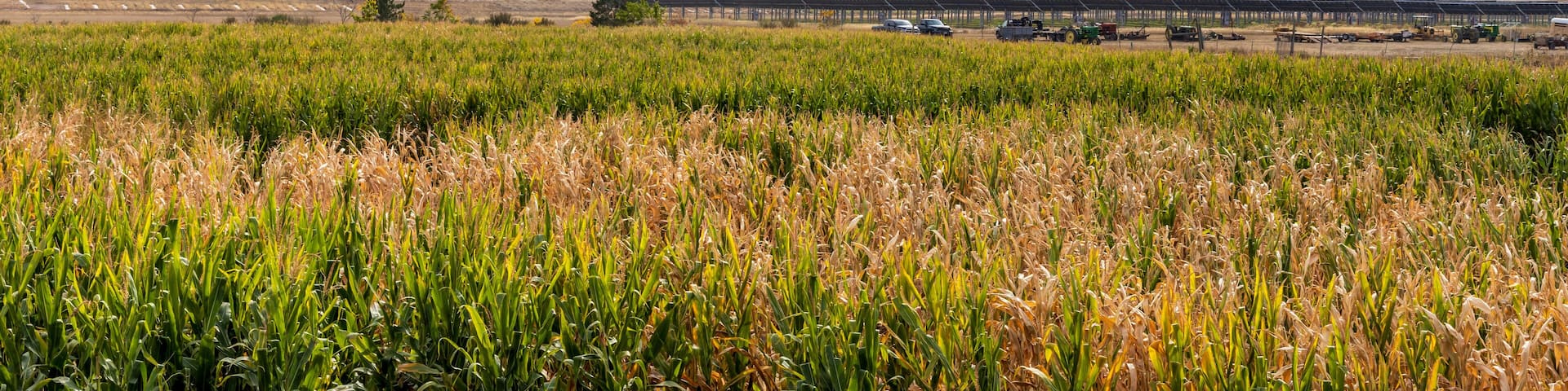 Scenic Fall landscape in Chatfield State Park in Littleton, Colorado