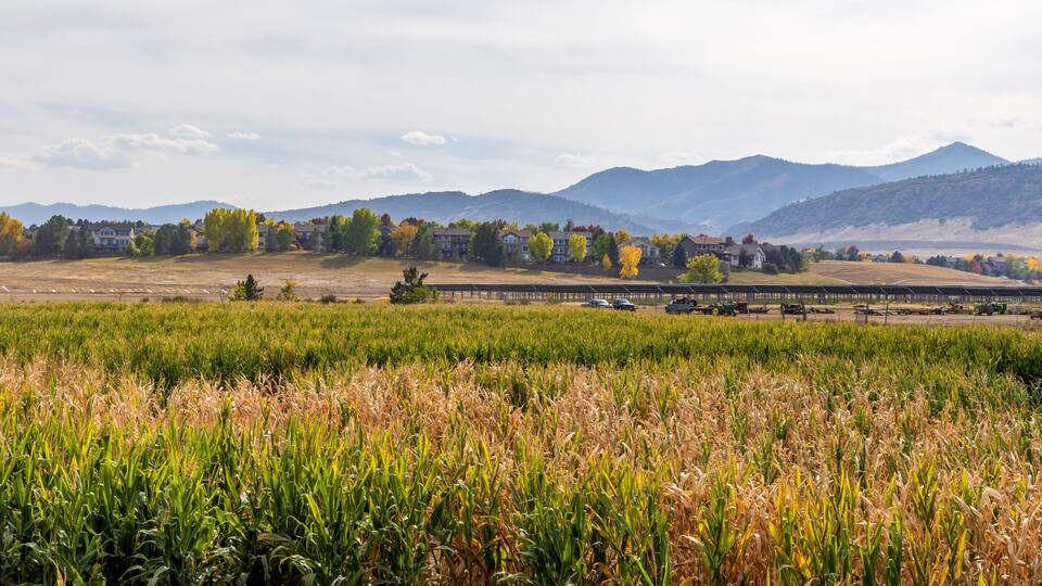 Scenic Fall landscape in Chatfield State Park in Littleton, Colorado