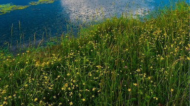 A peaceful place to take some nice photos and from fishing.
