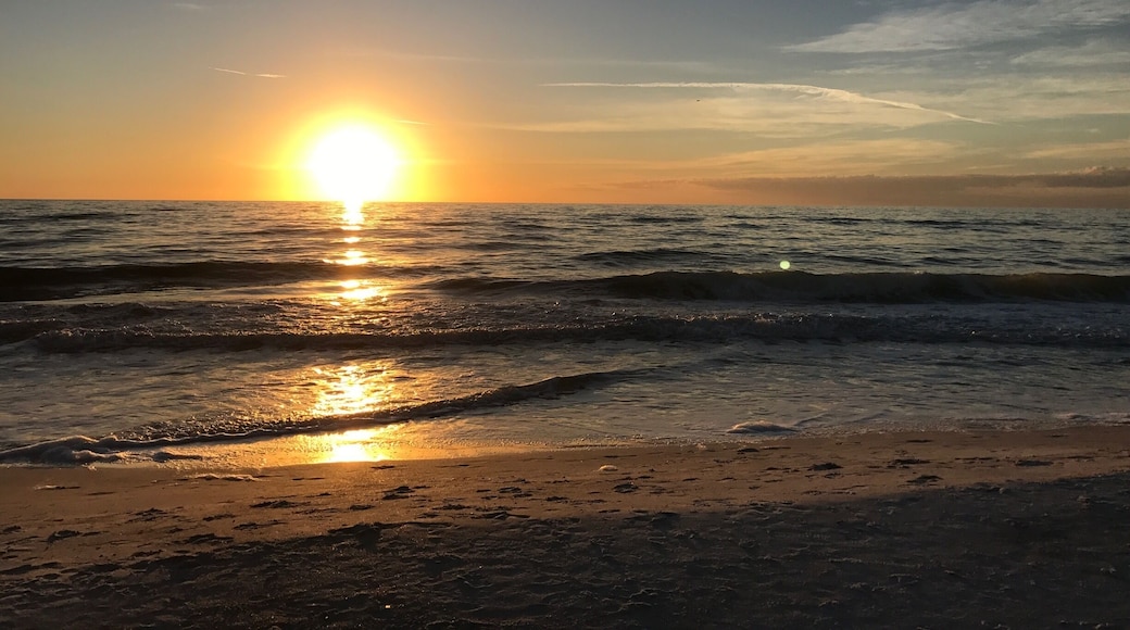 #florida #cedarcove #holmesbeach