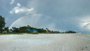 Une plage avec un arc-en-ciel, des palmiers et des maisons en arrière-plan.