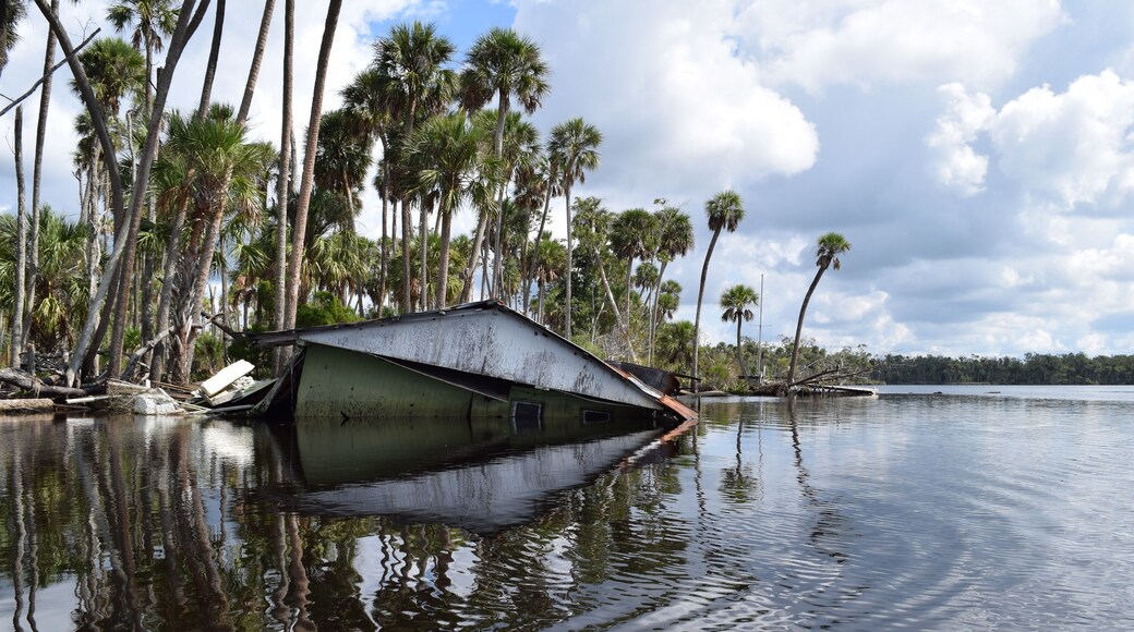Kayaking was everything for 2 years. It was the only way we knew how to fit in in FL - it made it an experience worth having
#adventure #kayaking #tandem