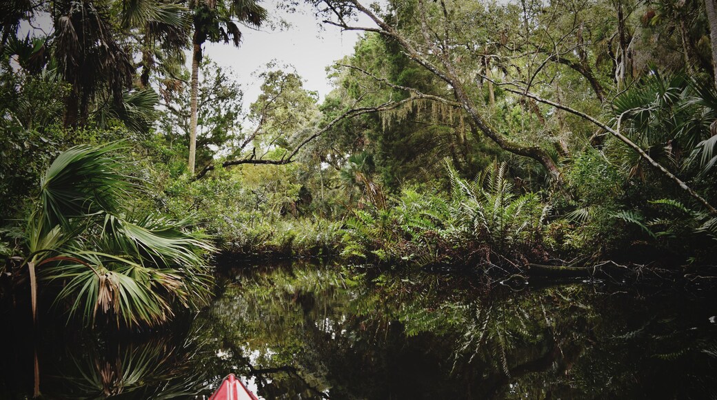 Exploring different inlets (hoping to avoid Gators)
#adventure
#kayaking #tandem