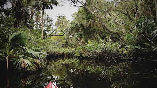 Exploring different inlets (hoping to avoid Gators)
#adventure
#kayaking #tandem