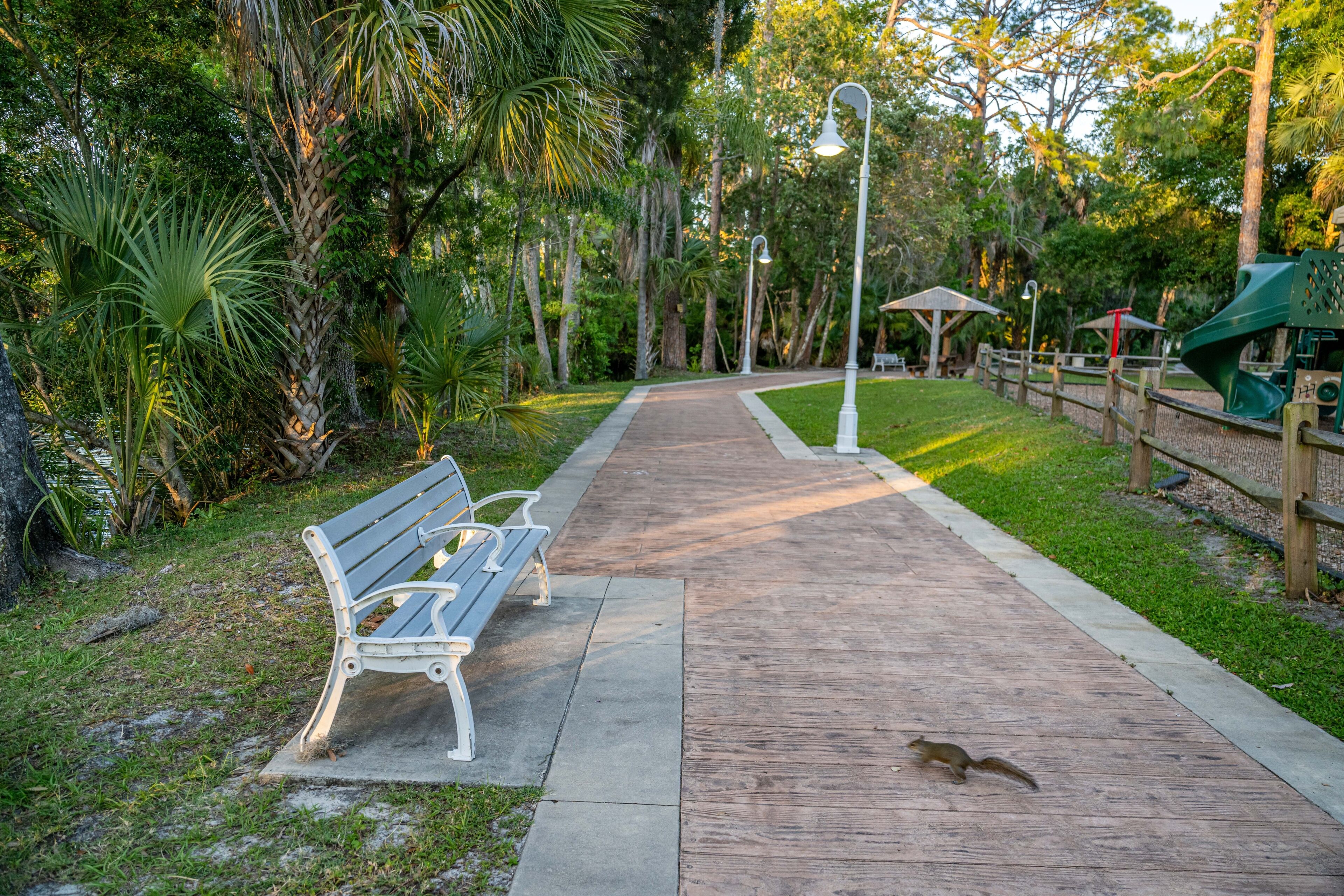 โฮโมซัสซา