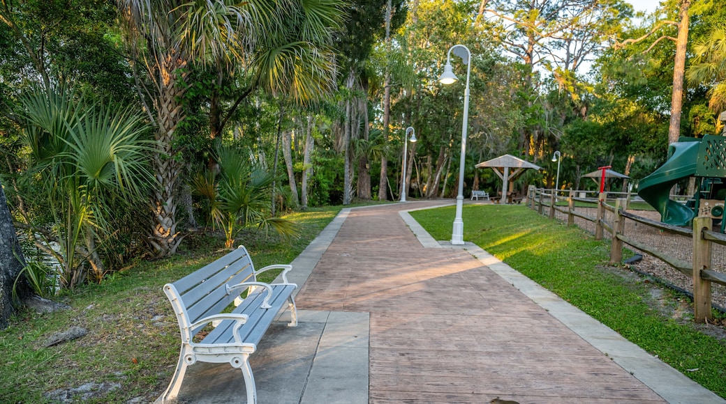 โฮโมซัสซา