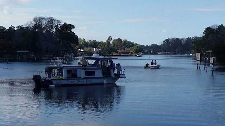 This is taken from the observation deck at Homosassa Springs Wildlife Refuge, the best place to spend the day and view manatees in Homosassa. 

While we were watching these people on the pontoon boat preparing to swim with manatees, dolphins came in up the Homosassa River. 

I just barely captured one on the far left of the picture, right in front of the kayaker. There were two of them. Dolphins and manatees in the same spot!

Read about our misadventures trying to find manatees:
http://rvluckyorwhat.com/2014/12/11/the-trouble-with-manatees/

#Florida
#Manatees
#Homosassa
#wildlife
#river

