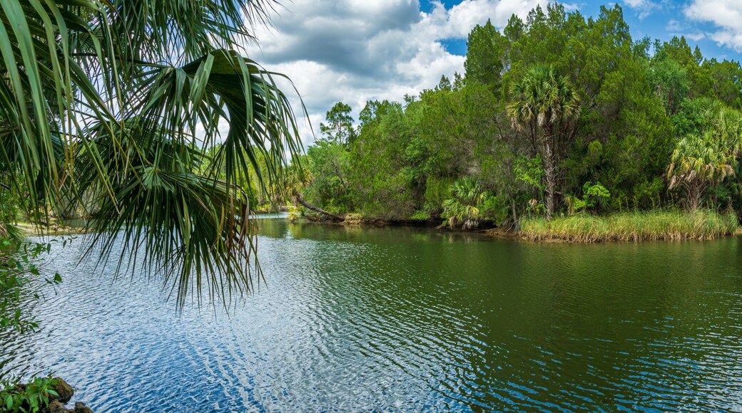 Panorama of Mullet Hole fishing area - Crystal River Preserve State Park, Crystal River, Florida, USA