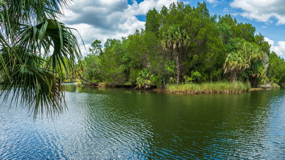 A calm river surrounded by dense greenery and trees.