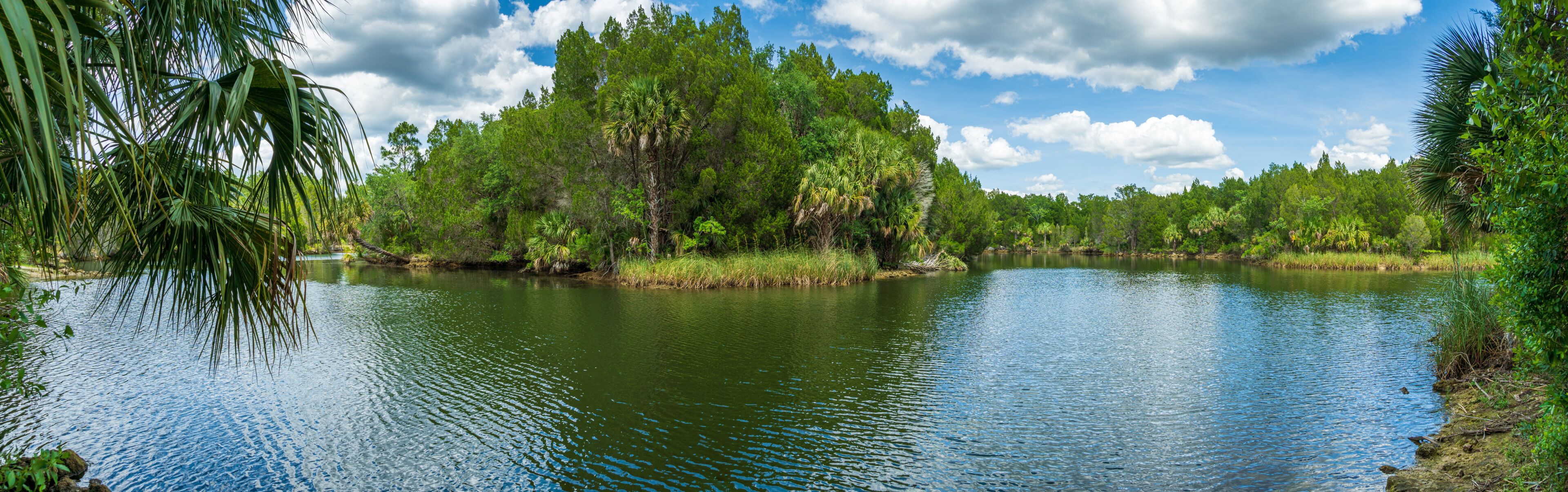 A calm river surrounded by dense greenery and trees.