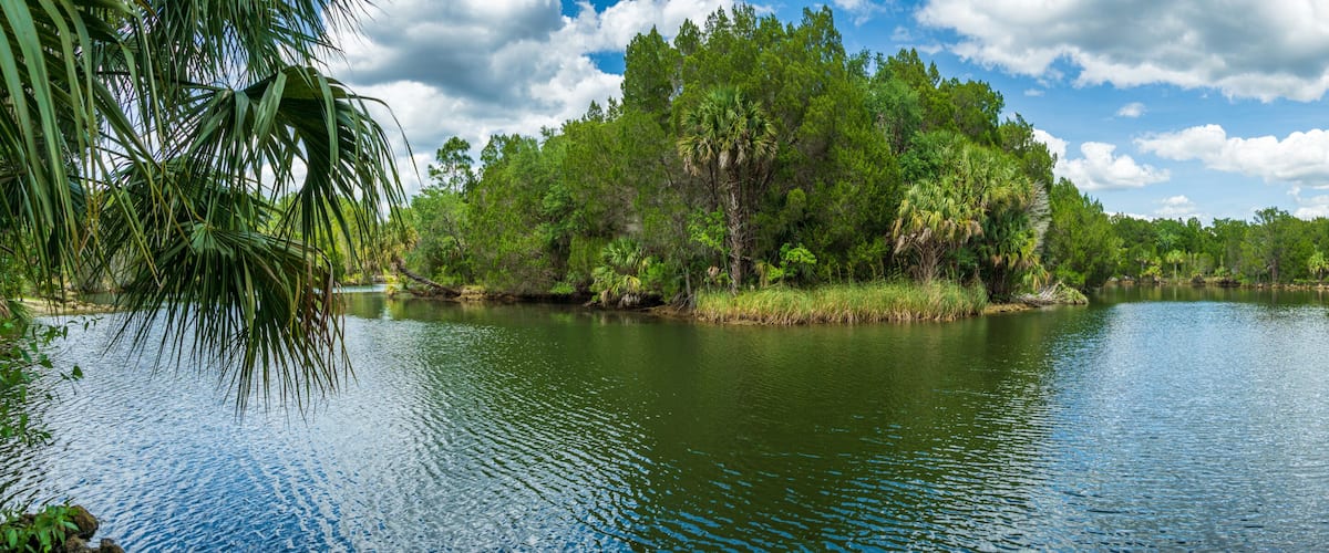 A calm river surrounded by dense greenery and trees.