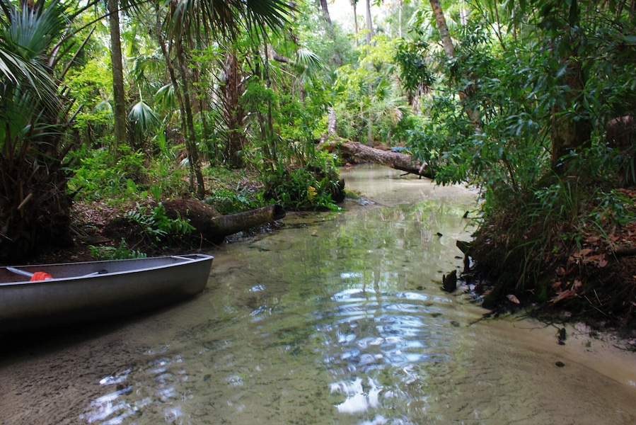 We Kayaked deep into the forest to find the cold clear spring head water bubbling from a crack in the earth. The Locals say beware of snakes, large alligators and terrible mosquito's, but we avoided all.