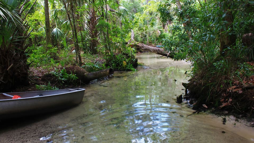 A narrow river with a canoe, surrounded by dense tropical vegetation.