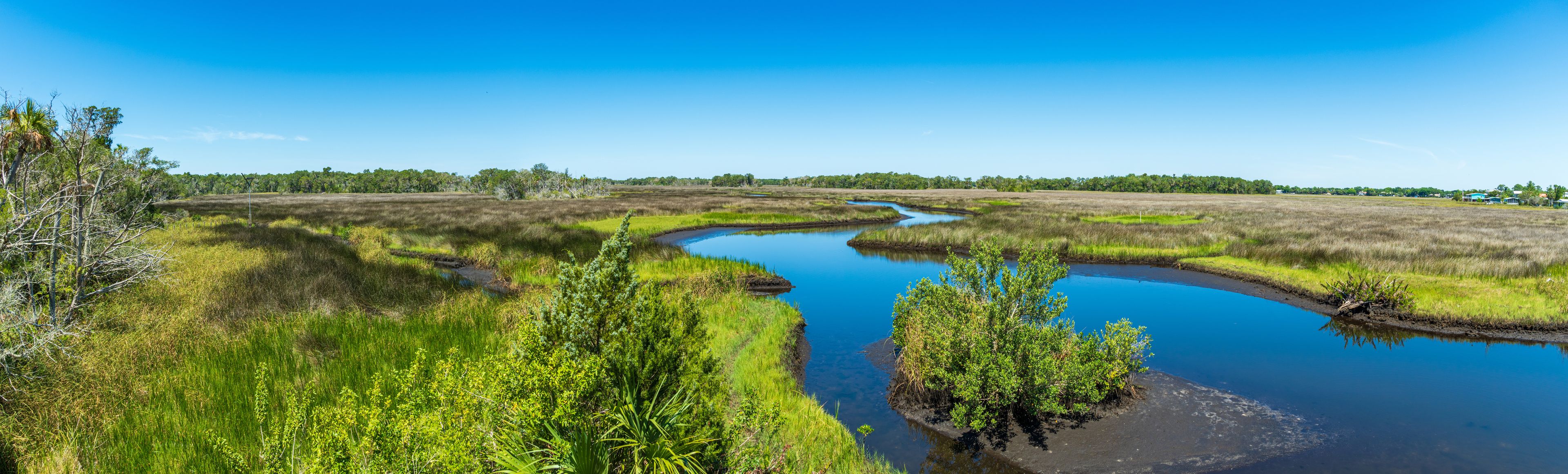 Homosassa
