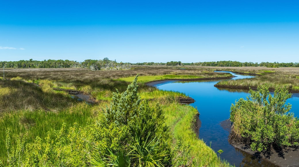 Homosassa