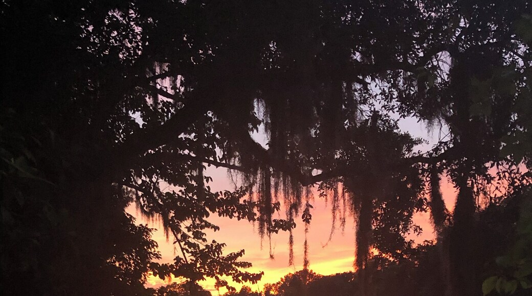 Sunset at the springs