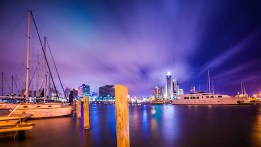 Una marina de noche con barcos amarrados, un yate grande y edificios iluminados al fondo.