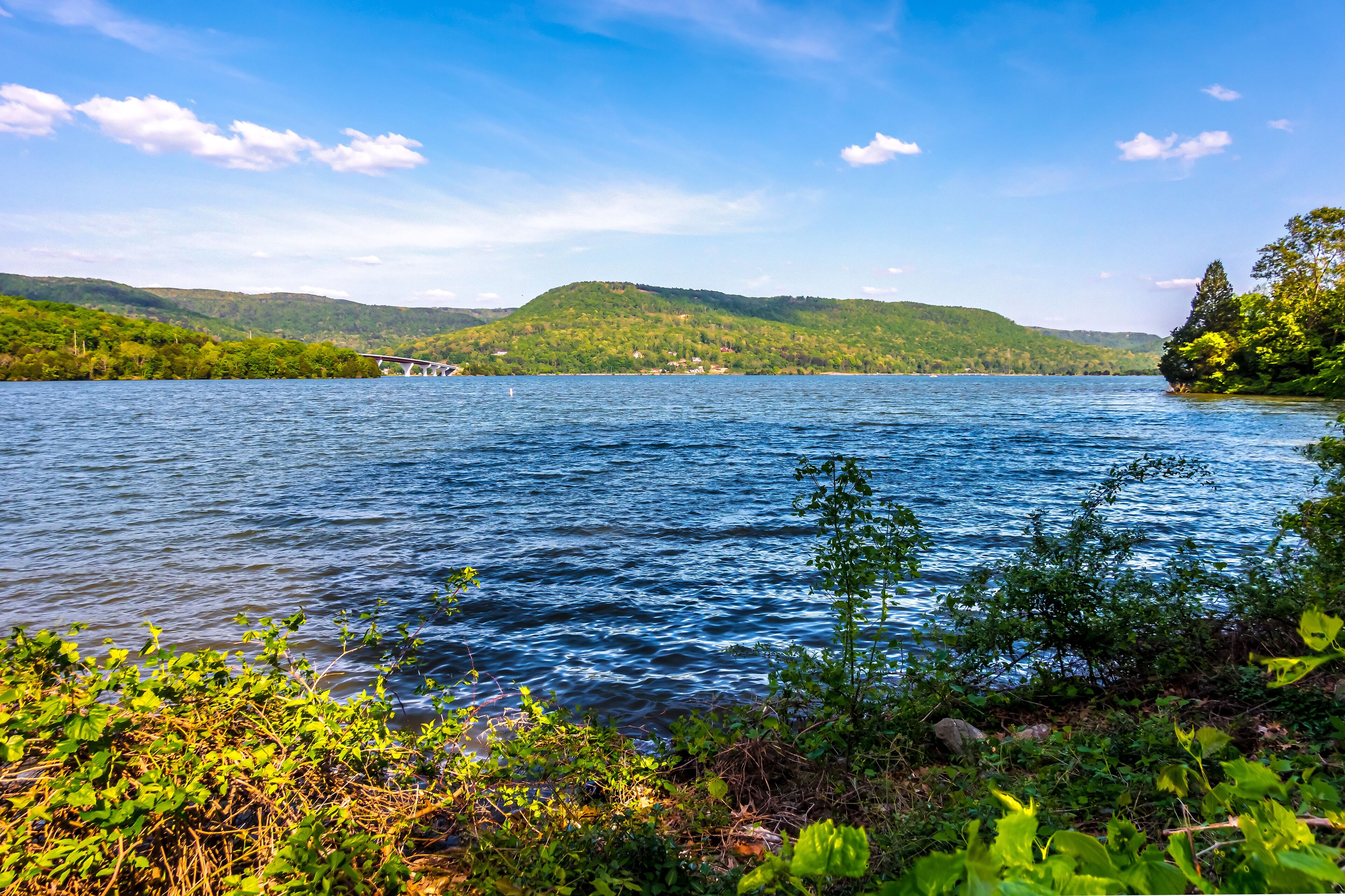 nature and tennessee river scenic views at jasper rest area