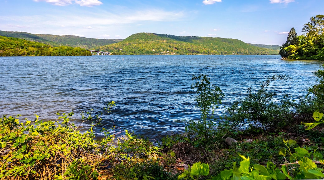 nature and tennessee river scenic views at jasper rest area