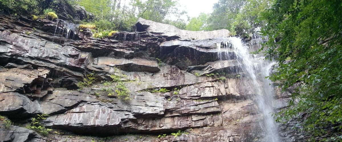 A waterfall cascading down a rocky cliff surrounded by lush greenery.