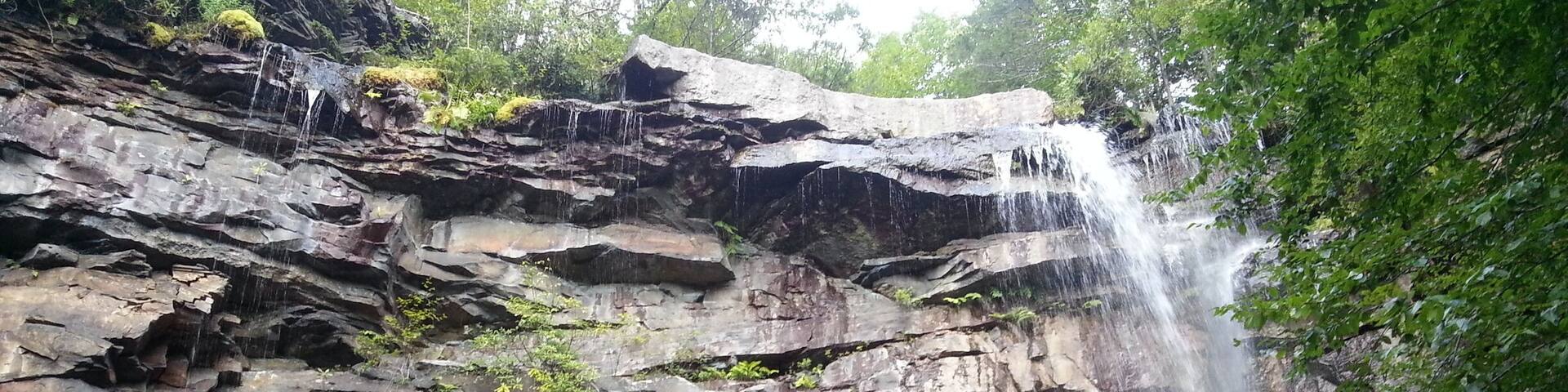 A waterfall cascading down a rocky cliff surrounded by lush greenery.