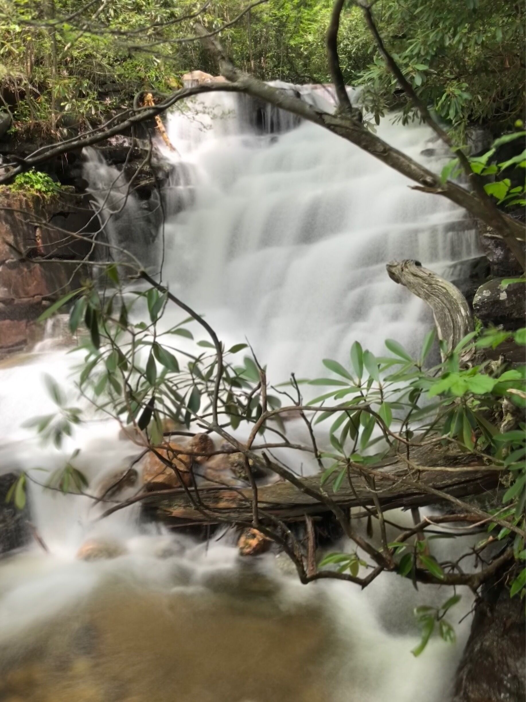 Great waterfall hike 