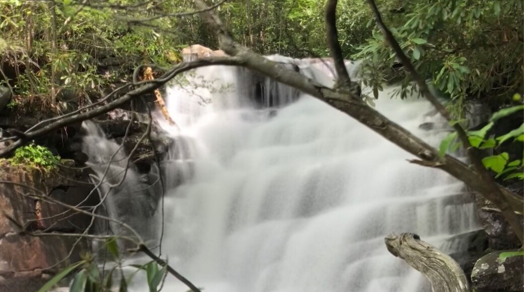 Great waterfall hike