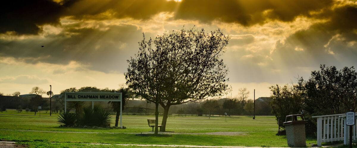 A park with a sign reading "Bill Chapman Meadow," a tree, a bench, and a trash can.