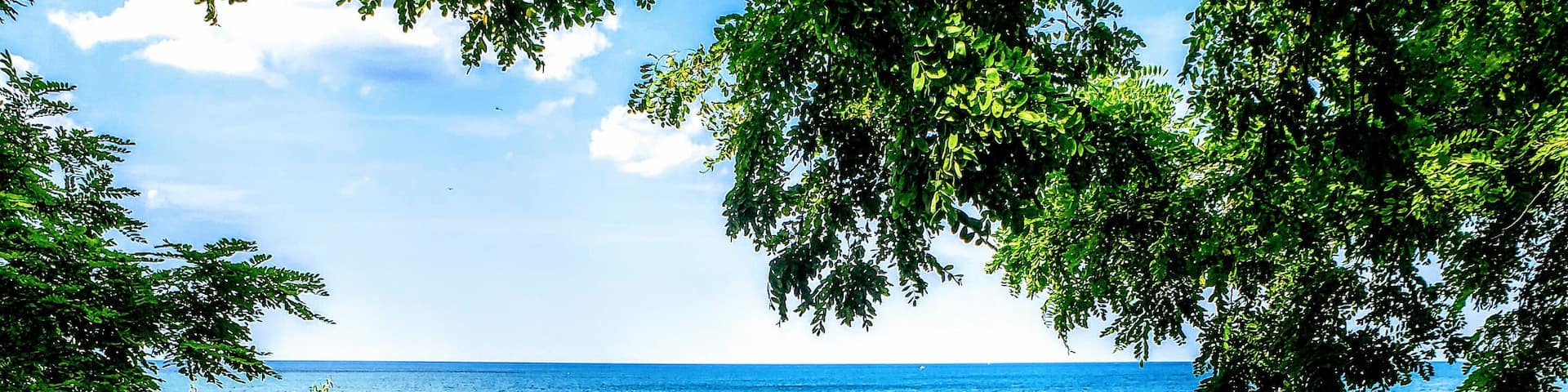 Un paisaje costero con un camino pavimentado, abundante vegetación y vista al mar.
