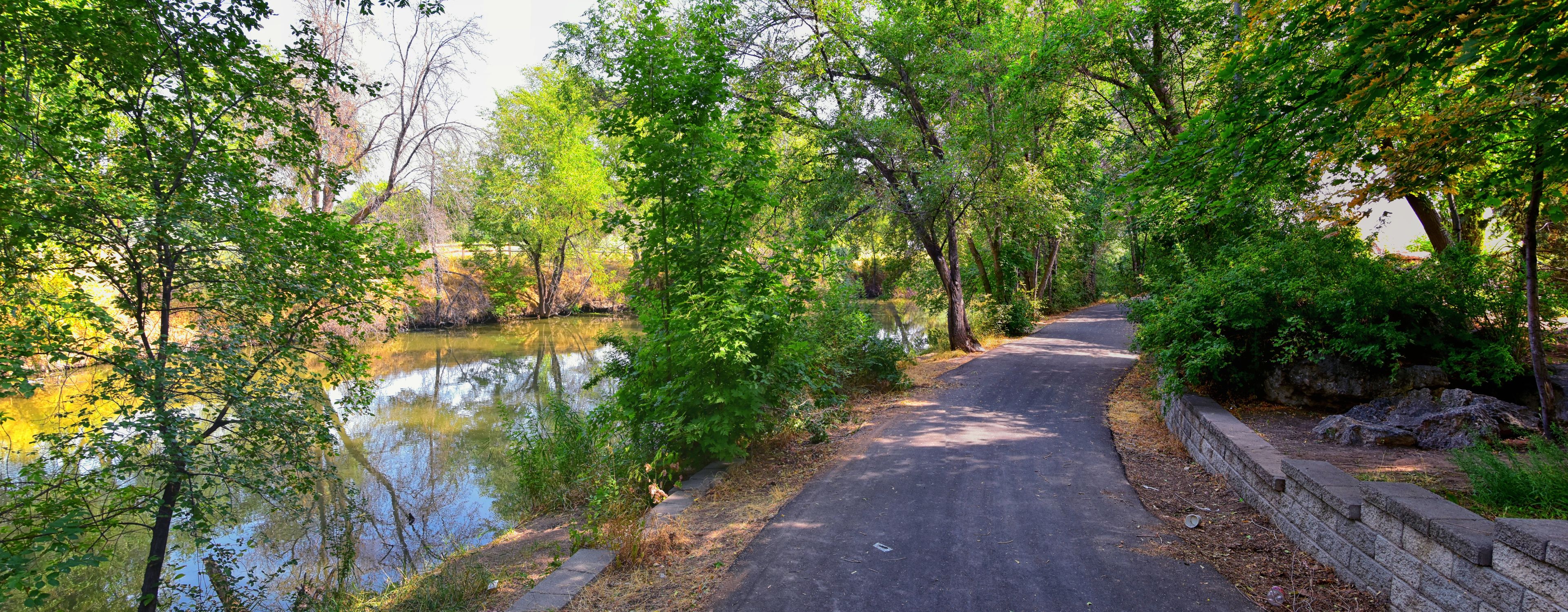 Views of Jordan River Trail with surrounding trees, Russian Olive, cottonwood and silt filled muddy water along the Wasatch Front Rocky Mountains, in Salt Lake City, Utah.