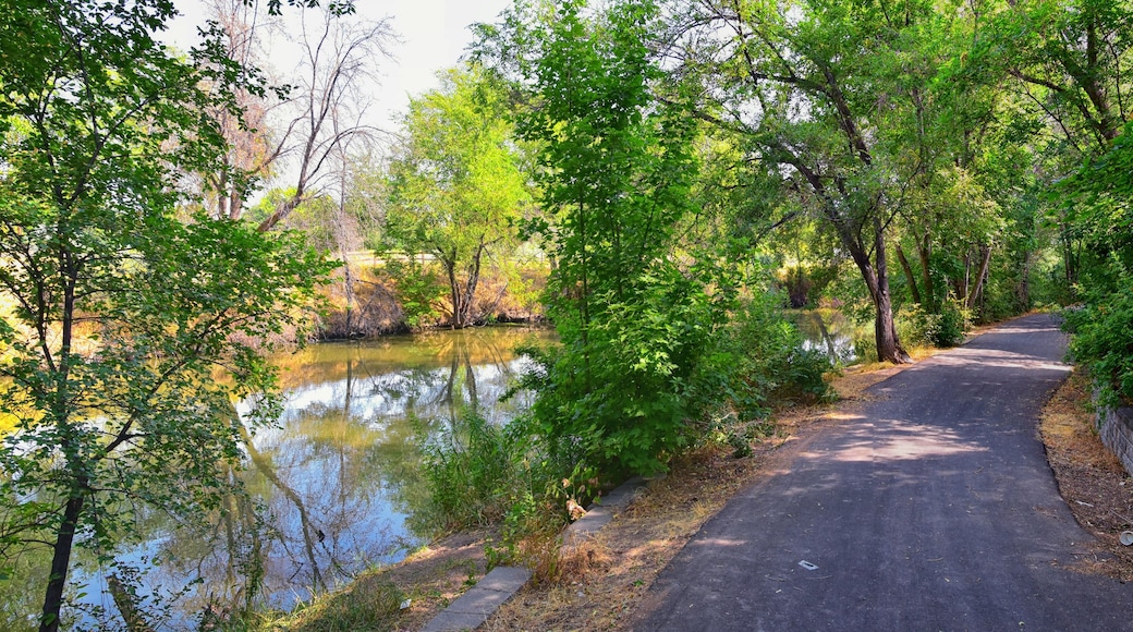 Views of Jordan River Trail with surrounding trees, Russian Olive, cottonwood and silt filled muddy water along the Wasatch Front Rocky Mountains, in Salt Lake City, Utah.