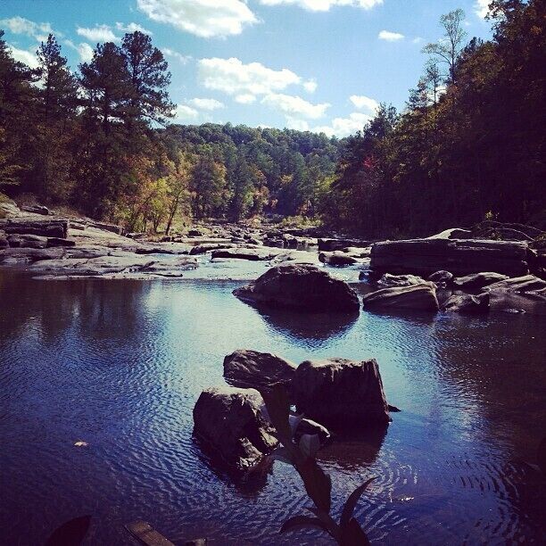 A calm river with rocks and trees in a forest.