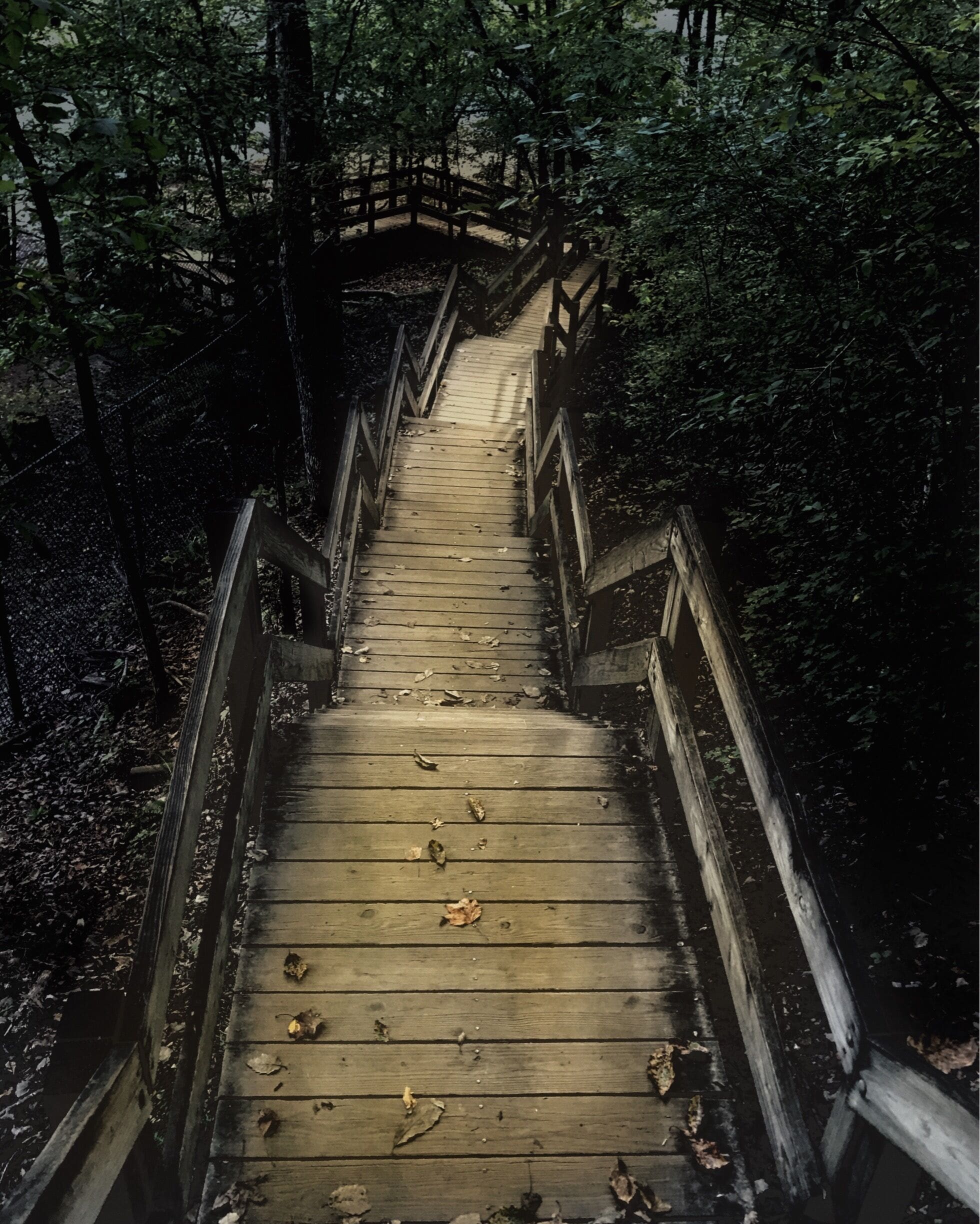 Ruins. Rivers. Rapids. Stairs. Hills. Overlooks. Sweetwater Creek has it all