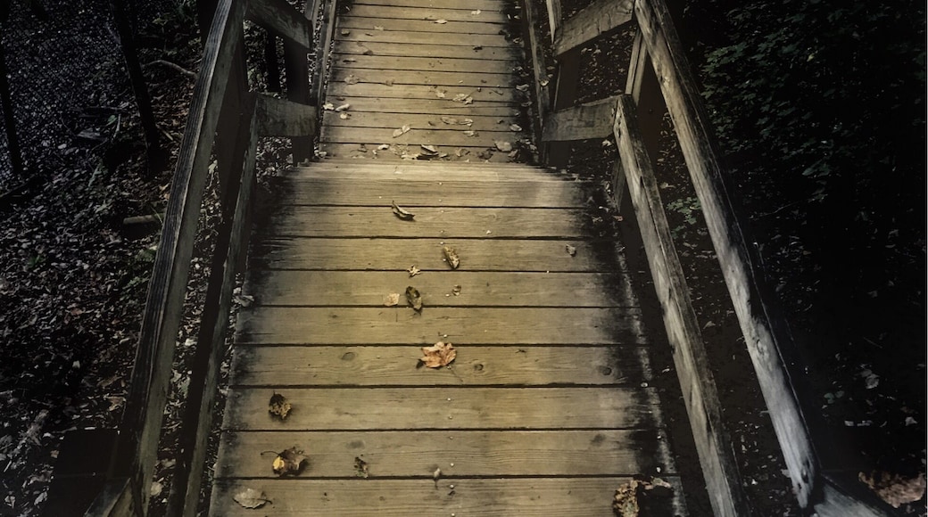 Ruins. Rivers. Rapids. Stairs. Hills. Overlooks. Sweetwater Creek has it all