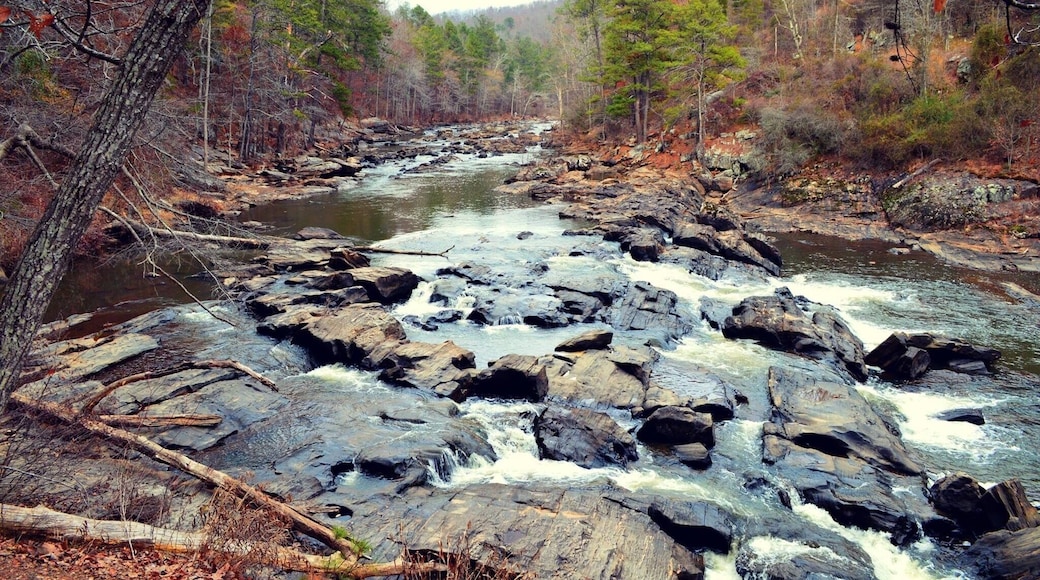 Winter hiking. Can you hear the water rushing by?