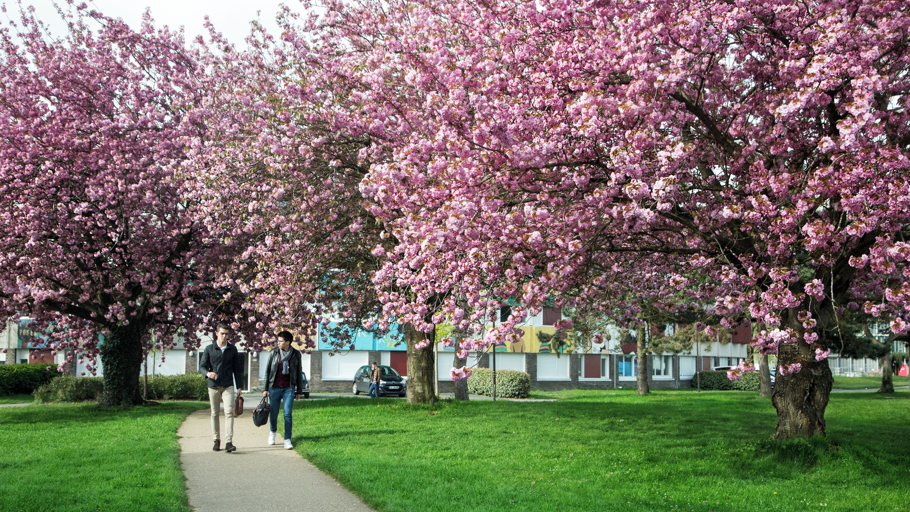 Le campus de l'Ecole polytechnique Crédit photographique : © École polytechnique - J.Barande